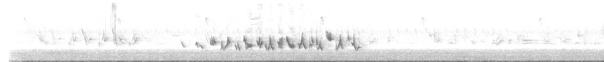 Guiraca bleu - ML639758776