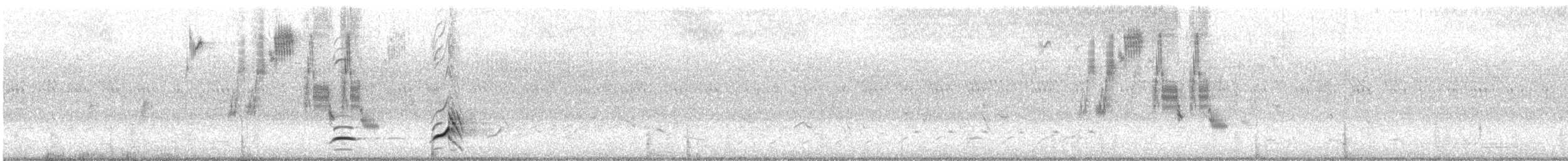 Northern Bobwhite - ML639759640