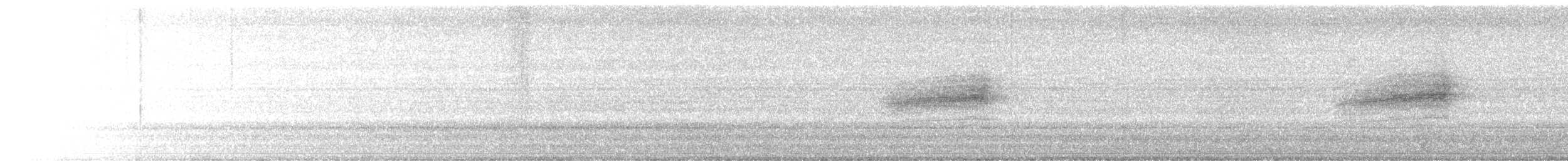 Western Warbling Vireo - ML639763788