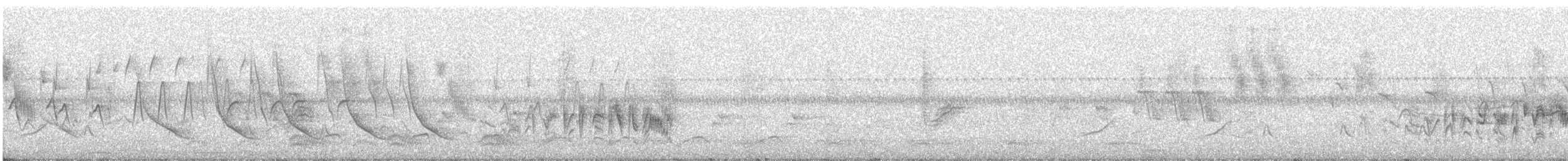 Bell's Vireo - ML639764562