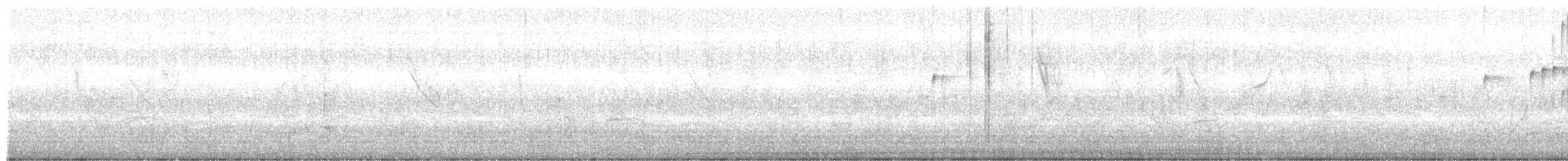 kvegtyrann - ML639765505