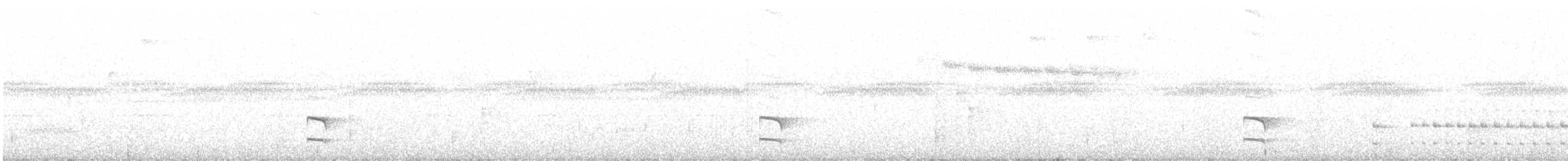 Nariño Tapaculo - ML639766367