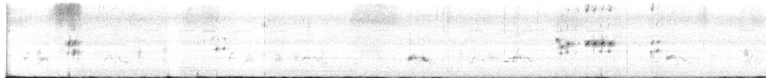 Pied Kingfisher - ML639766449