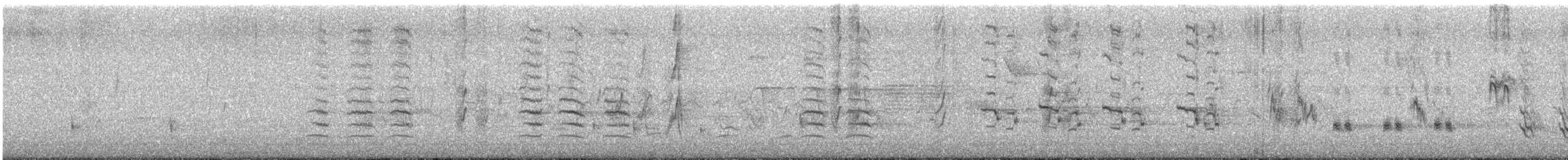 Northern Mockingbird - ML639769949