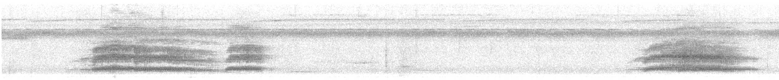 White-bellied Parrot - ML639775315