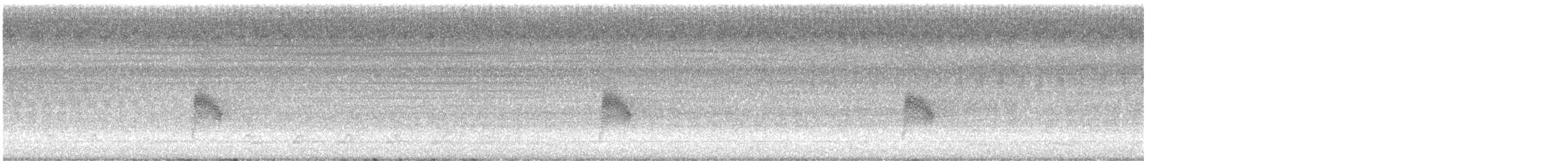 Common Nighthawk - ML639775498