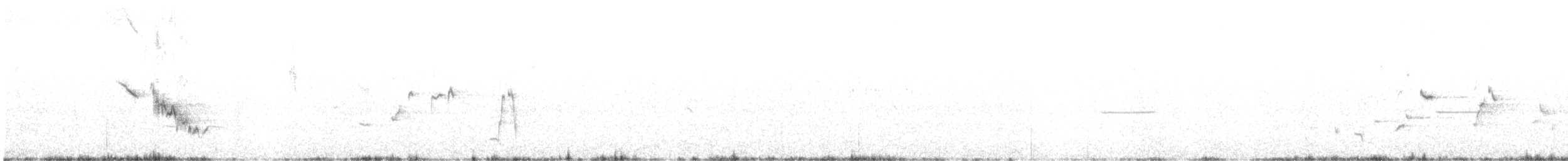 Chirruping Wedgebill - ML639780467