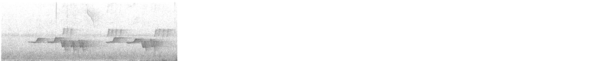 Troglodyte à calotte noire - ML639781142