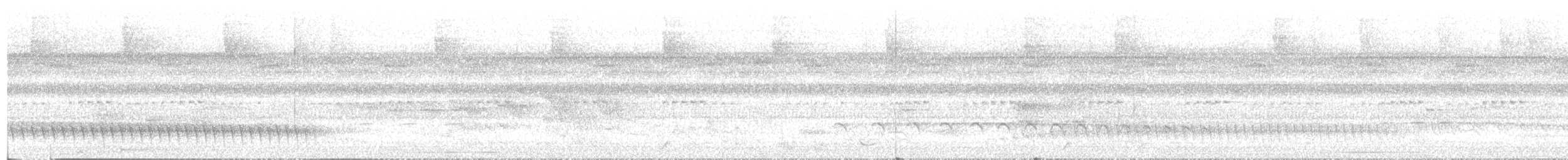 Peruvian Warbling-Antbird - ML639783098