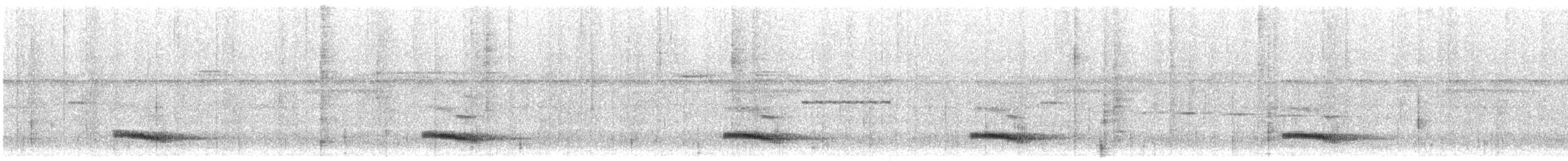 tupinambatukan (culminatus/pintoi) (gulrandtukan) - ML639783706