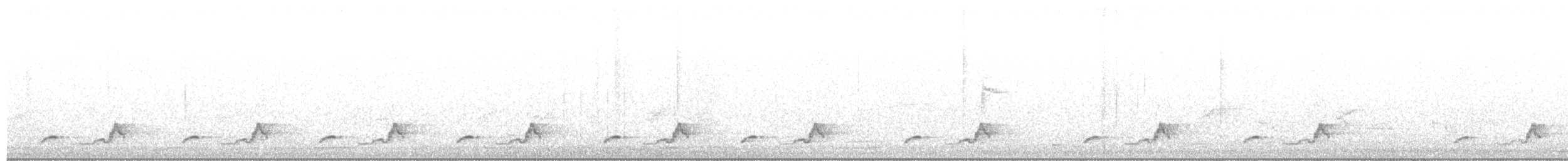 Schwarzkehl-Nachtschwalbe - ML639784109