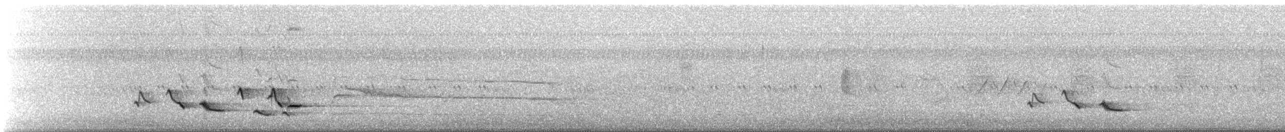Scott's Oriole - ML639784110