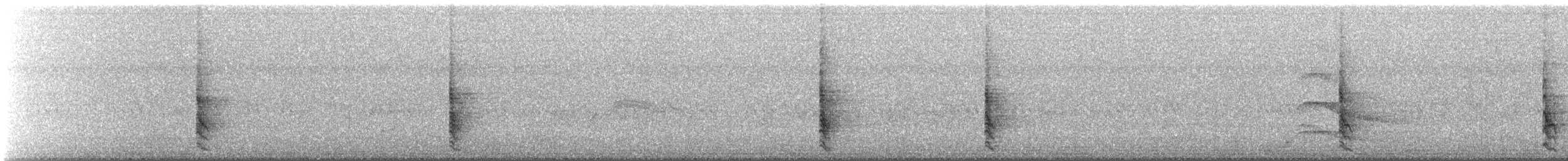 Scott's Oriole - ML639784117