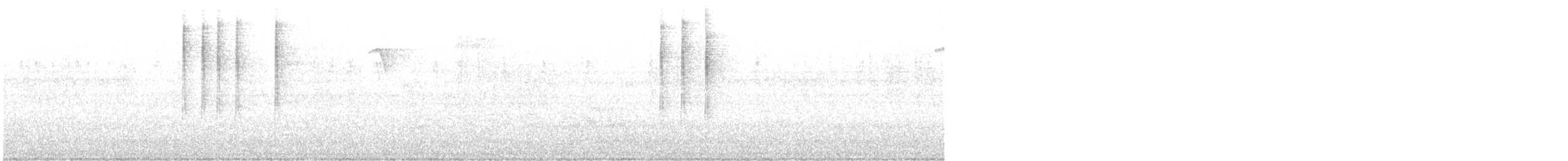 Black-and-white Warbler - ML639785967