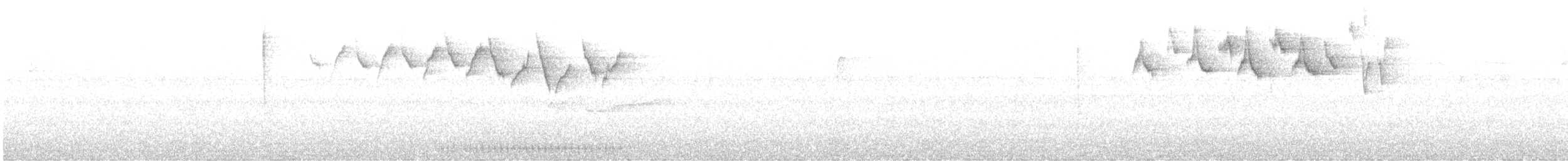 Black-and-white Warbler - ML639785970