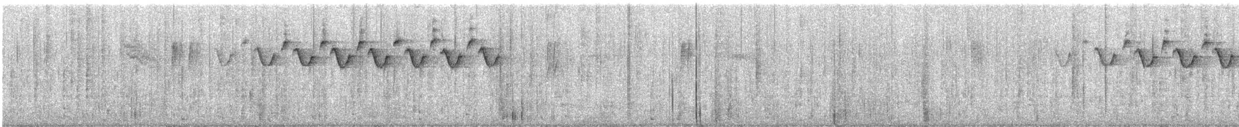 Black-and-white Warbler - ML639786971
