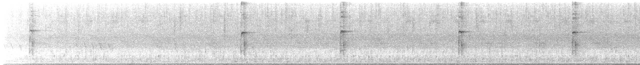 Haarspecht - ML639787385