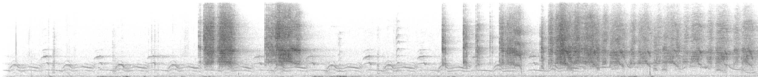 Apôtre gris - ML639787694