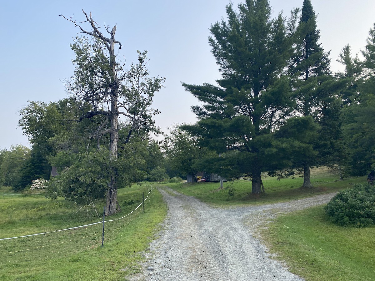 null - ML639791288