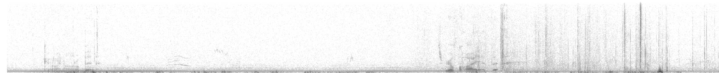Snowy Plover - ML639791897