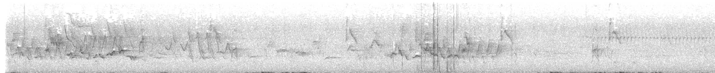 Warbling Vireo - ML639792001