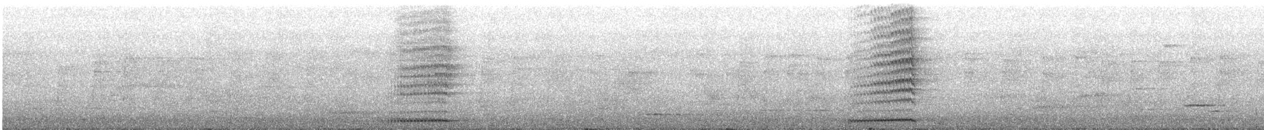 Nínox Maorí - ML639792224