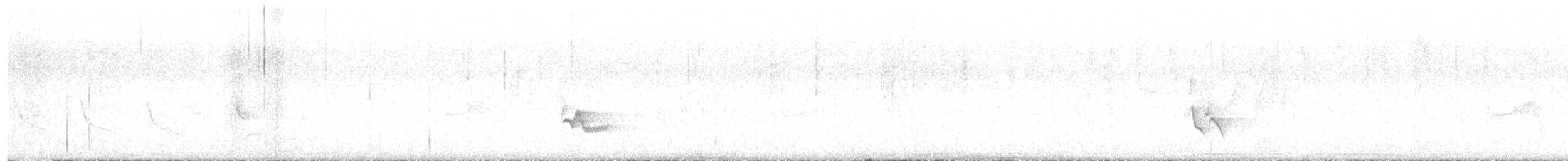 Plumbeous Vireo - ML639793334