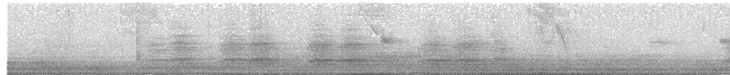 blåpanneamazon - ML639793909