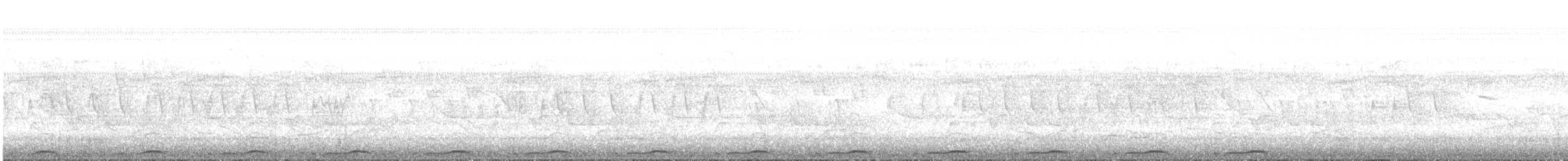holoubek skořicový - ML639796796