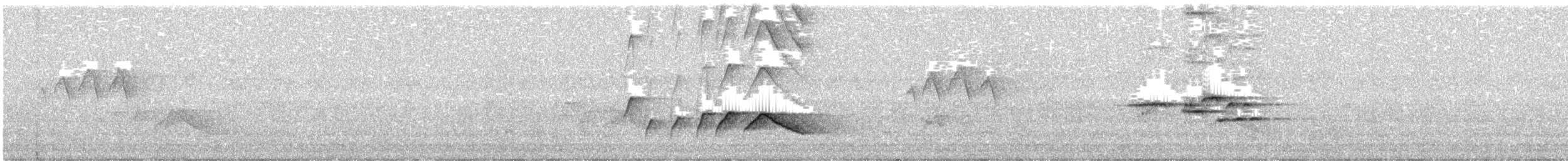 White-eared Sibia - ML639800905