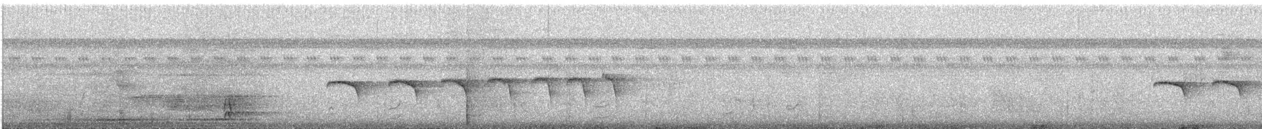 Dot-winged Antwren - ML639802434