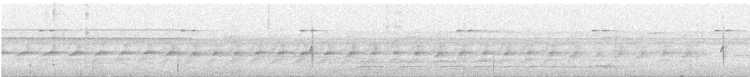 Plain-throated Antwren - ML639803404