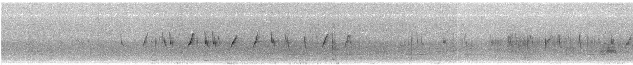 Iberian Chiffchaff - ML639803499