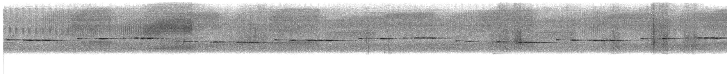 Spotted Elachura - ML639803524
