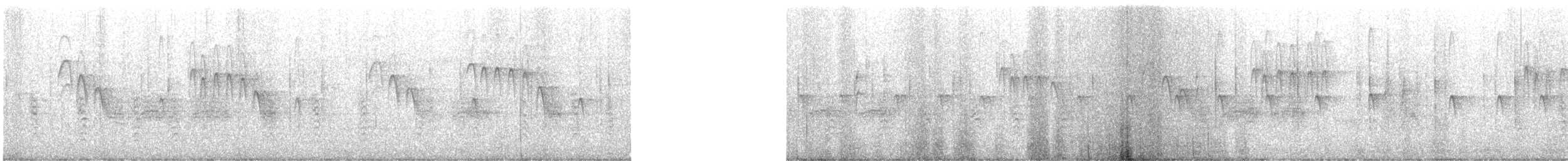 Mountain Chickadee - ML639804360