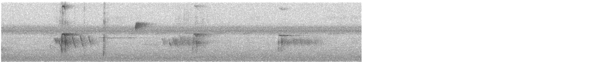 Haarspecht - ML639805523