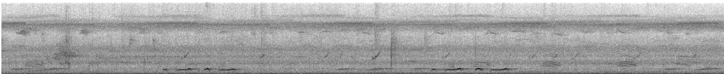 Bar-shouldered Dove - ML639808398