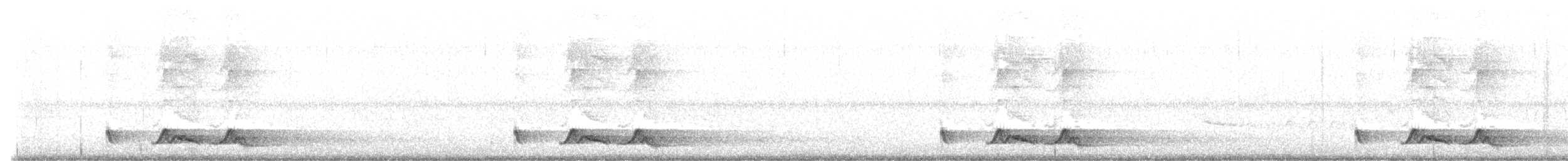 Chuck-will's-widow - ML639808707