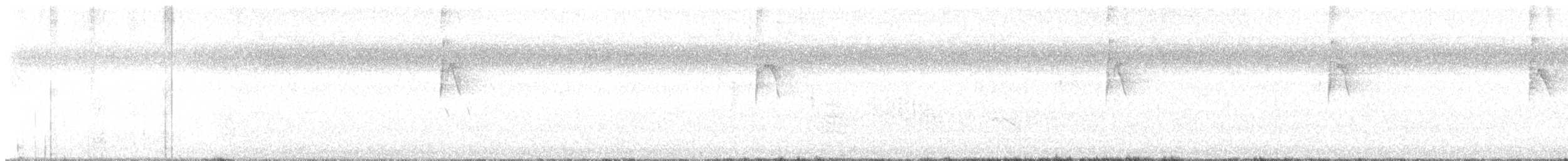 Göçmen Tiran - ML639808770