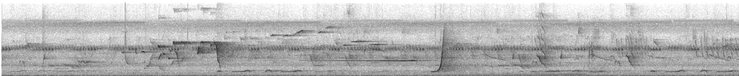 Bar-shouldered Dove - ML639808773