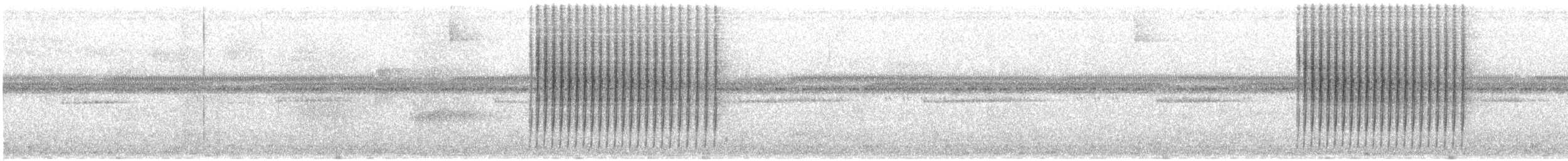 Scalloped Antbird - ML639809221