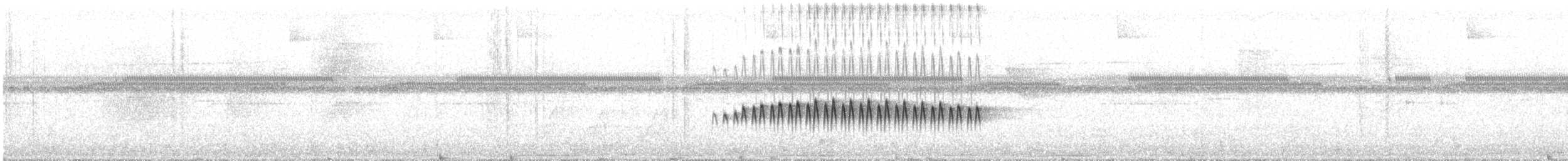 Scalloped Antbird - ML639809222