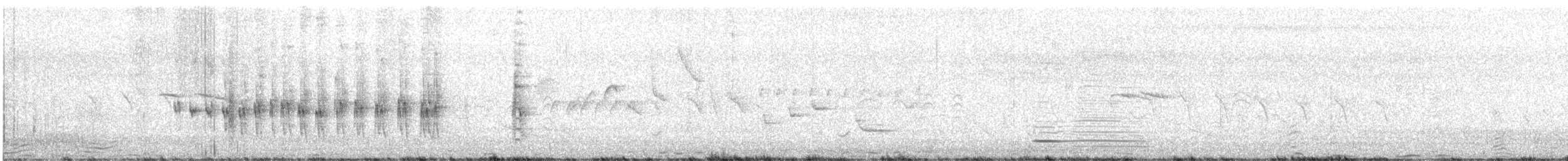שחרורית אדומת-כנף - ML639809312