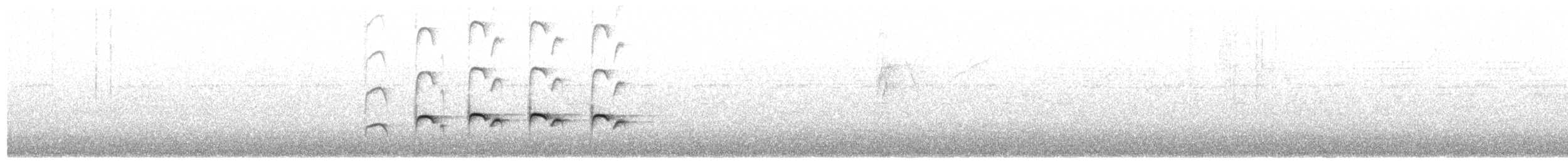 Willis's Antbird - ML639810179