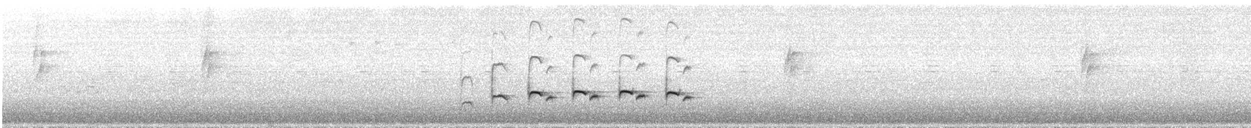 Willis's Antbird - ML639810180