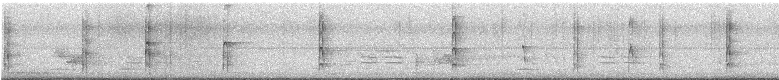Haarspecht - ML639810265