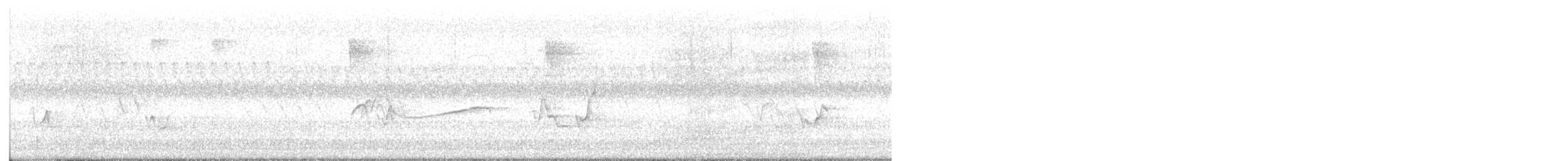 Eastern Wood-Pewee - ML639812060