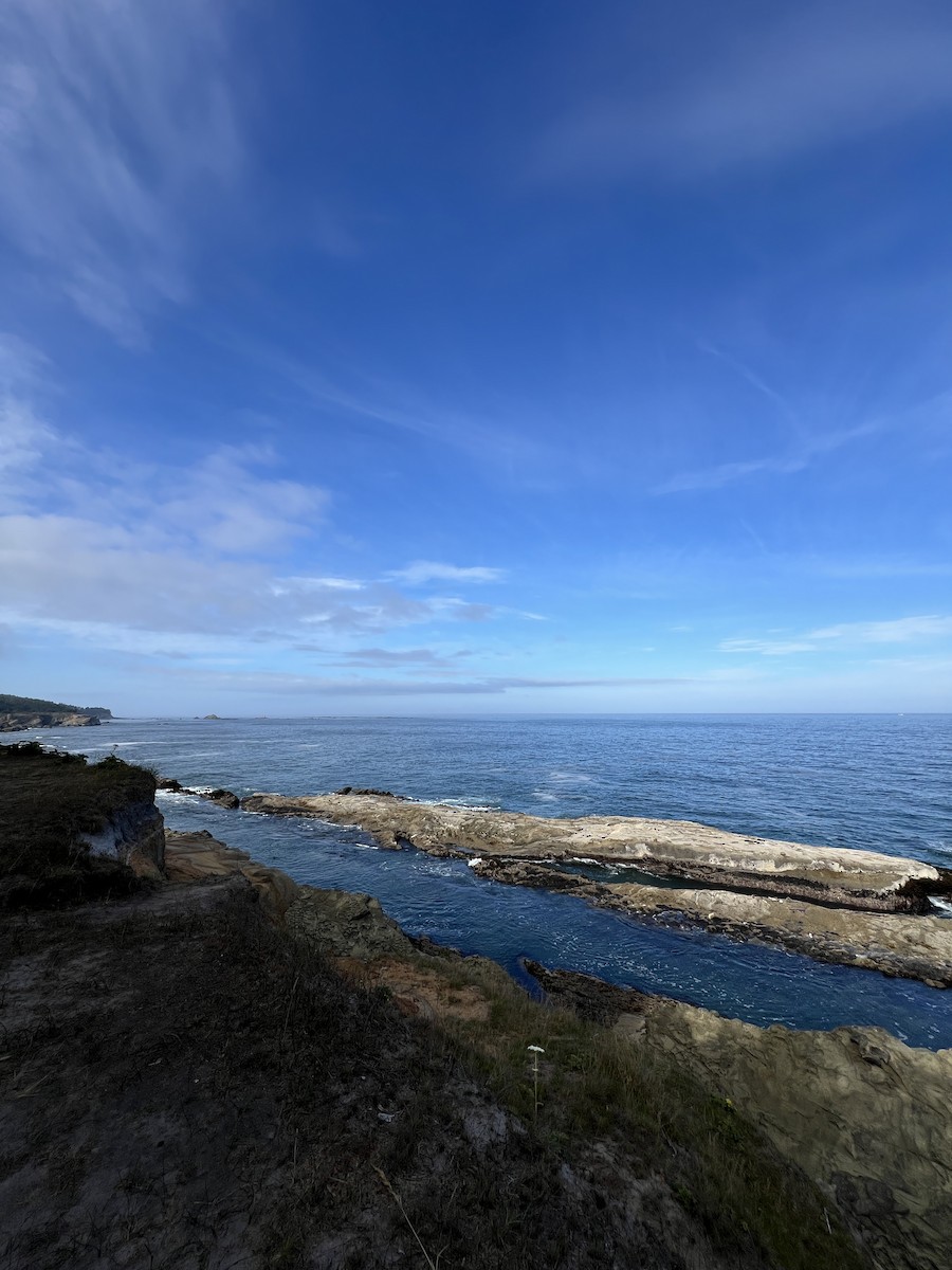 null - ML639812309