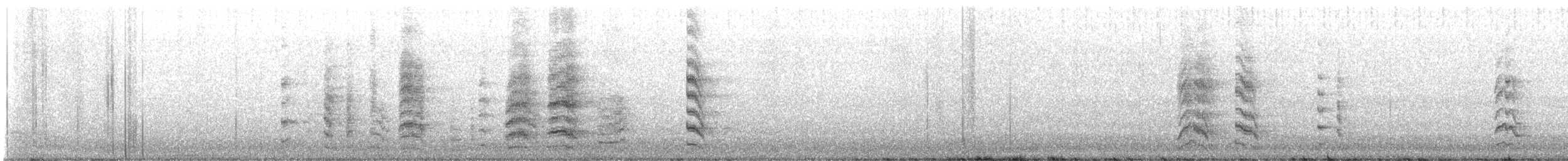 Burrowing Parakeet - ML639813201