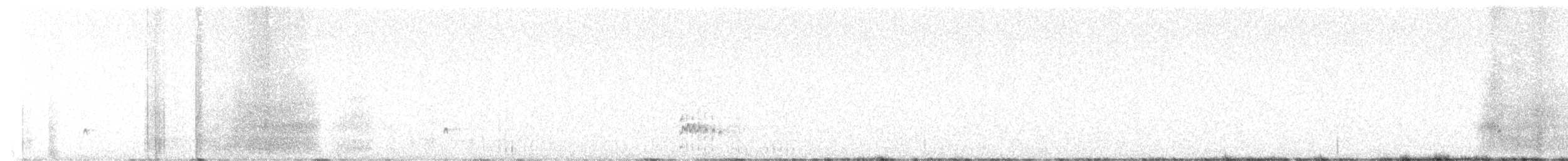 Ash-throated Flycatcher - ML639813725